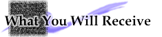 What You Receive